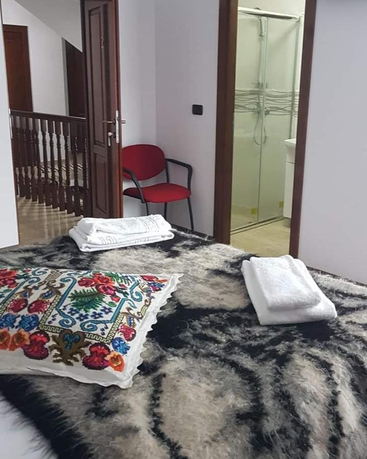 Popasul Calatorului Ξενοδοχείο Moisei Εξωτερικό φωτογραφία