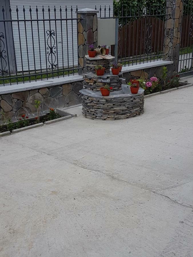 Popasul Calatorului Ξενοδοχείο Moisei Εξωτερικό φωτογραφία